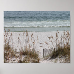 Sea Oats Along the Beach Side Poster