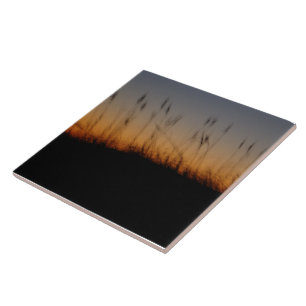 Sea Oats and Dunes at Sunset Tile