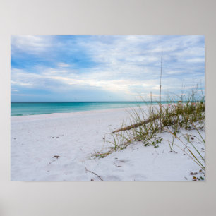 Sea Oats And White Sand Beach Morning Poster