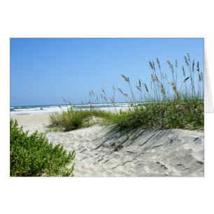 Sea Oats at Ocracoke
