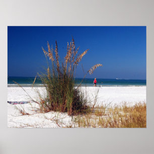 Sea Oats, Beach, Poster