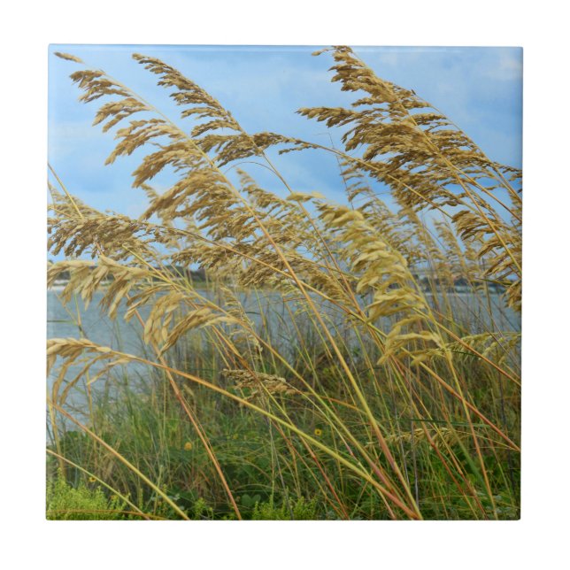 Sea Oats Ceramic Tile (Front)