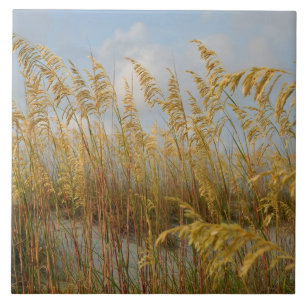 Sea Oats on the beach sand dunes Tile