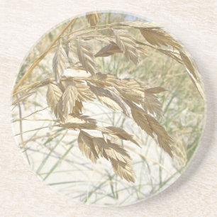 Sea Oats Outer Banks NC Series Coaster