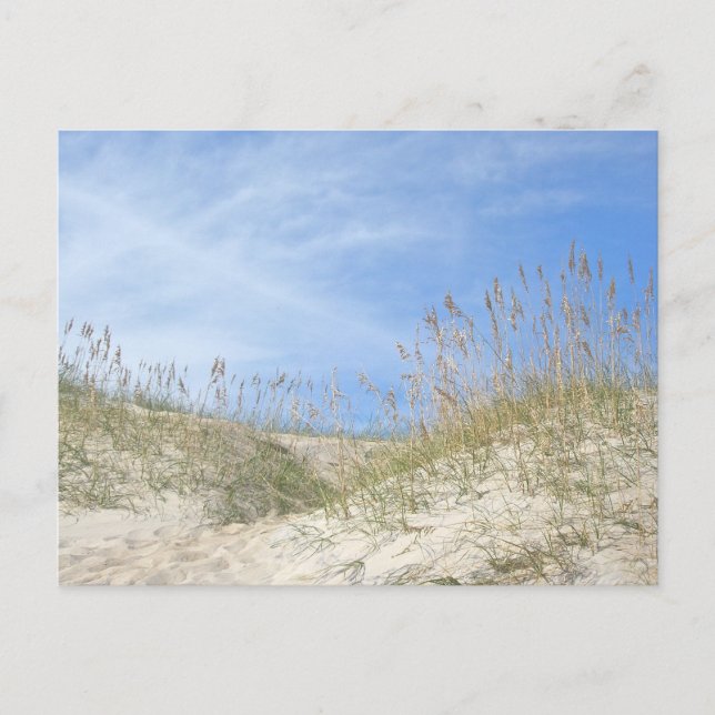 Sea Oats Outer Banks NC Series Postcard (Front)