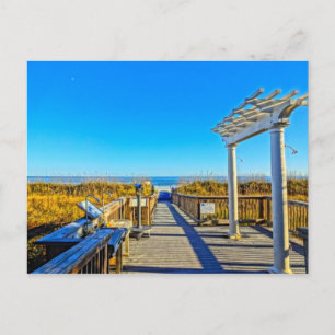 Sea Oats Sand & Surf! Hilton Head Island SC Postcard