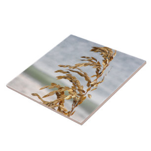 Sea Oats, Sea Breeze Tile