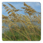 Sea Oats