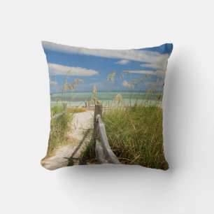 Sea oats Uniola paniculata) growing by beach Cushion