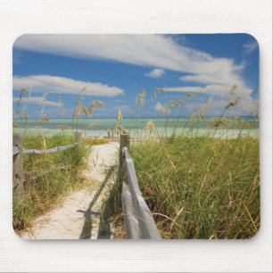 Sea oats Uniola paniculata) growing by beach, Mouse Pad