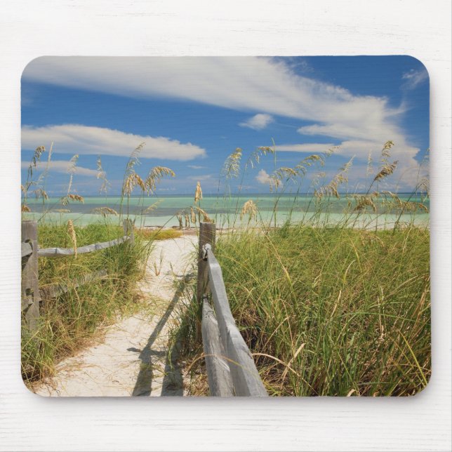 Sea oats Uniola paniculata) growing by beach, Mouse Pad (Front)