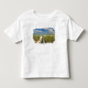 Sea oats Uniola paniculata) growing by beach, Toddler T-Shirt