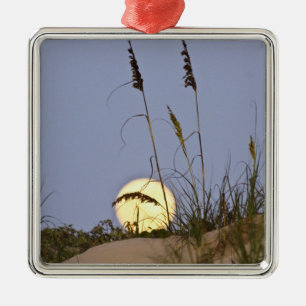 Sea Oats Uniola paniculata) growing on sand Metal Ornament