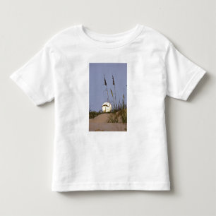 Sea Oats Uniola paniculata) growing on sand Toddler T-Shirt