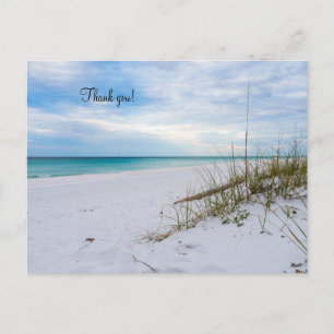 Sea Oats White Sand Beach Morning Thank You Postcard