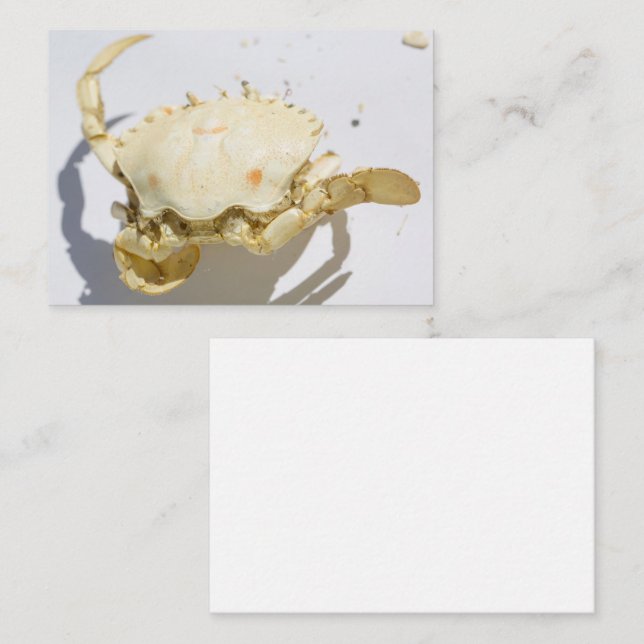 Sea Ocean Crab Shell Creature Enclosure Card (Front/Back)