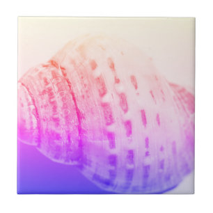 Sea Ocean Shell texture structure details Ceramic Tile