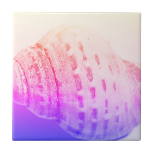 Sea Ocean Shell texture structure details Ceramic Tile (Front)