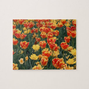 Sea of Firey Flowers Jigsaw Puzzle