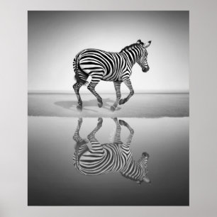 Sea of Freedom Poster