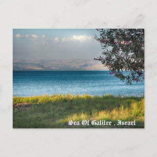 Sea Of Galilee ,Israel Holiday Postcard