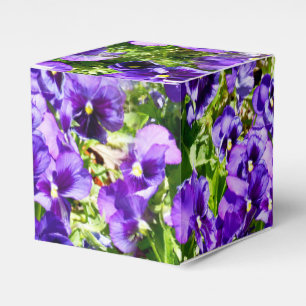 Sea of Serenity: The Beautiful Purple Pansy Field Favour Box