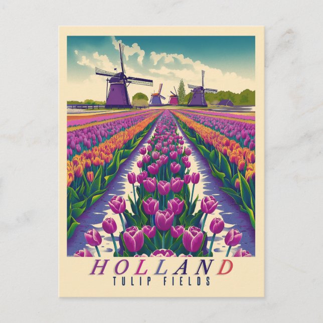 Sea of Tulips - Vintage Holland  Postcard (Front)