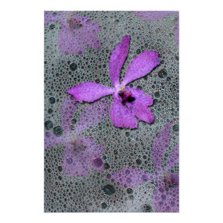 Sea orchid poster