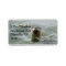Sea Otter Address Labels