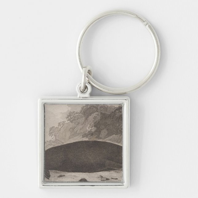 Sea otter, British Columbia Key Ring (Front)