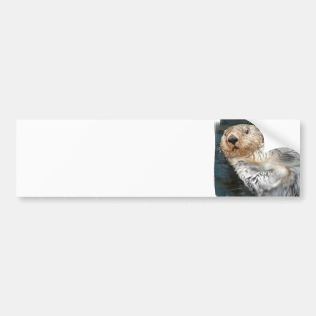 Sea Otter Bumper Sticker (Front)