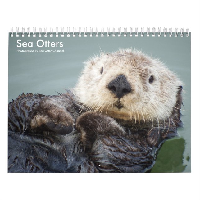 Sea Otter Channel Calendar #1 (Cover)