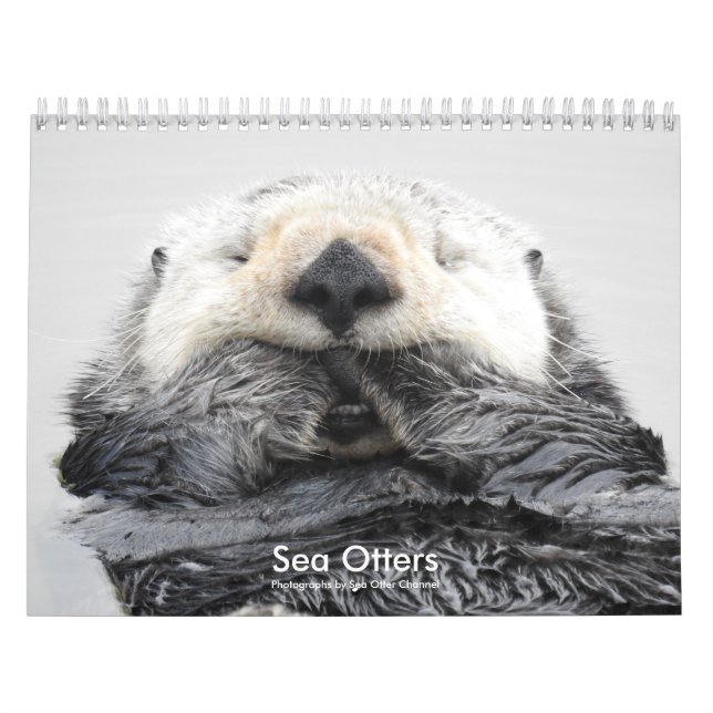 Sea Otter Channel Calendar #2 (Cover)
