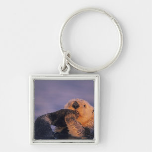 Sea Otter, Enhydra lutris Key Ring