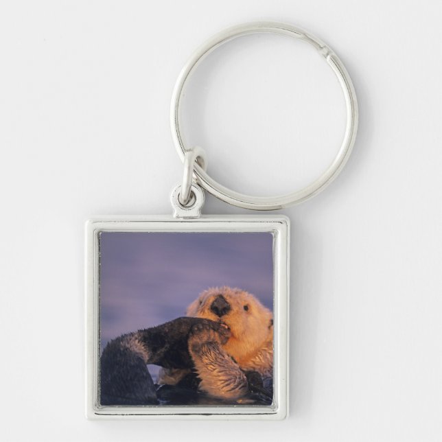 Sea Otter, Enhydra lutris Key Ring (Front)