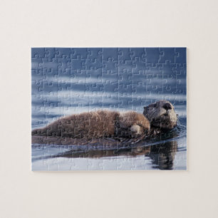 sea otter, Enhydra lutris lutris Jigsaw Puzzle