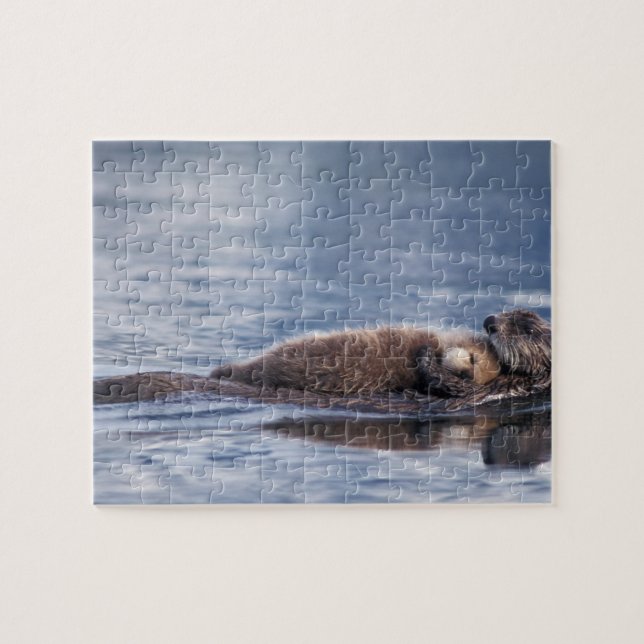 sea otter, Enhydra lutris lutris Jigsaw Puzzle (Horizontal)