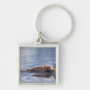 sea otter, Enhydra lutris lutris Key Ring