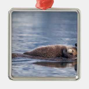 sea otter, Enhydra lutris lutris Metal Ornament