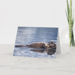 sea otter, Enhydra lutris lutris, mother with 2 Card