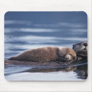 sea otter, Enhydra lutris lutris Mouse Pad