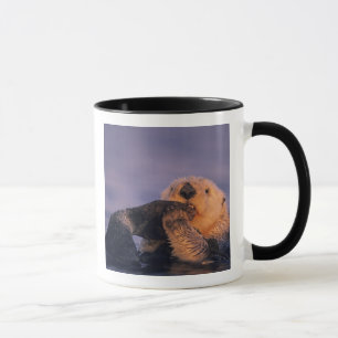 Sea Otter, Enhydra lutris Mug