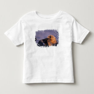 Sea Otter, Enhydra lutris Toddler T-Shirt