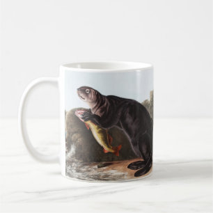Sea Otter (Enhydra marina) Illustration Coffee Mug