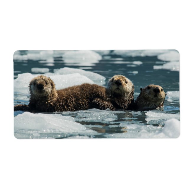Sea Otter Family (Front)