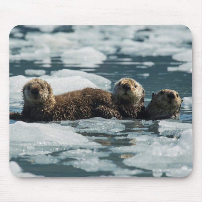 Sea Otter Family Mouse Pad (Front)