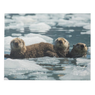 Sea Otter Family Notepad