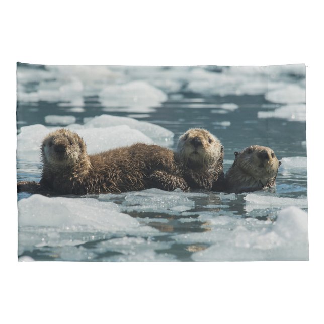 Sea Otter Family Pillowcase (Back-Right)