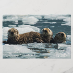 Sea Otter Family Stationery