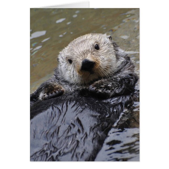 Sea Otter Frameable Art Card (Front)